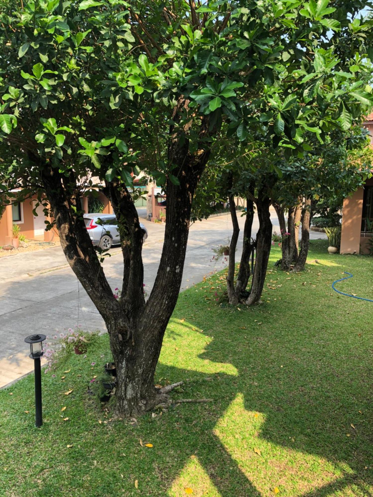 Areena Resort And Hotel Uttaradit Εξωτερικό φωτογραφία